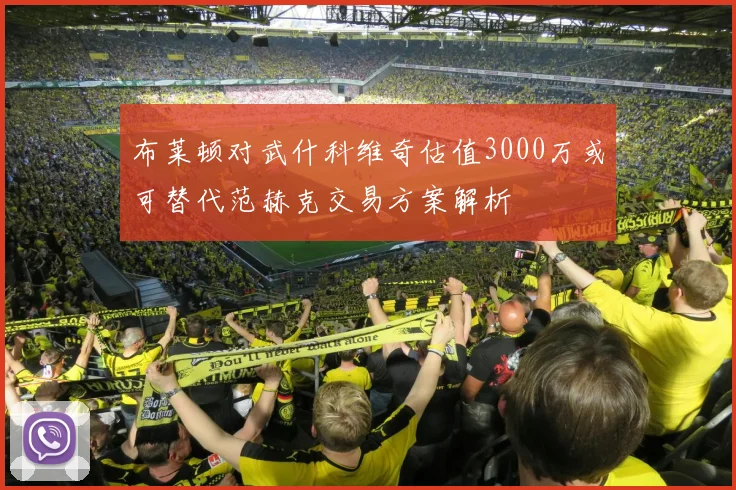 布莱顿对武什科维奇估值3000万或可替代范赫克交易方案解析